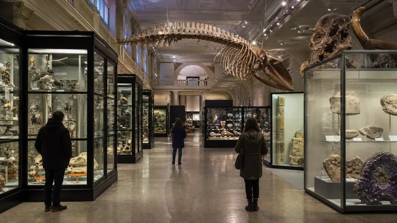 Galería de biodiversidad, geología y anatomía comparada en un museo de ciencias