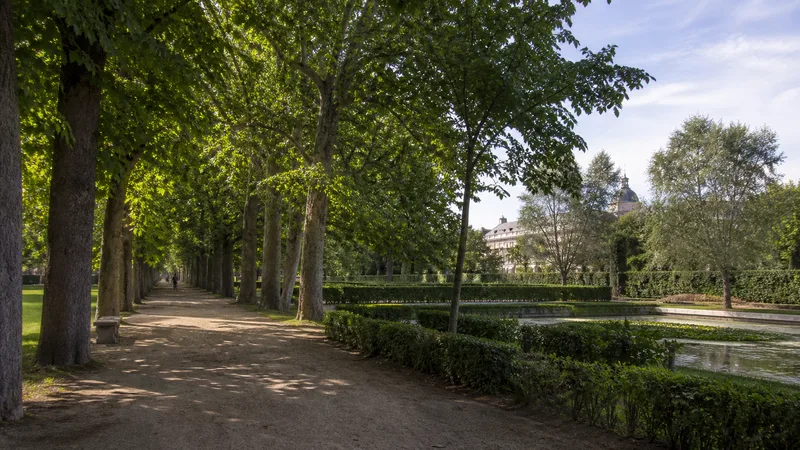 Avenida arbolada y estanque entre la vegetación del Jardín del Príncipe de Aranjuez