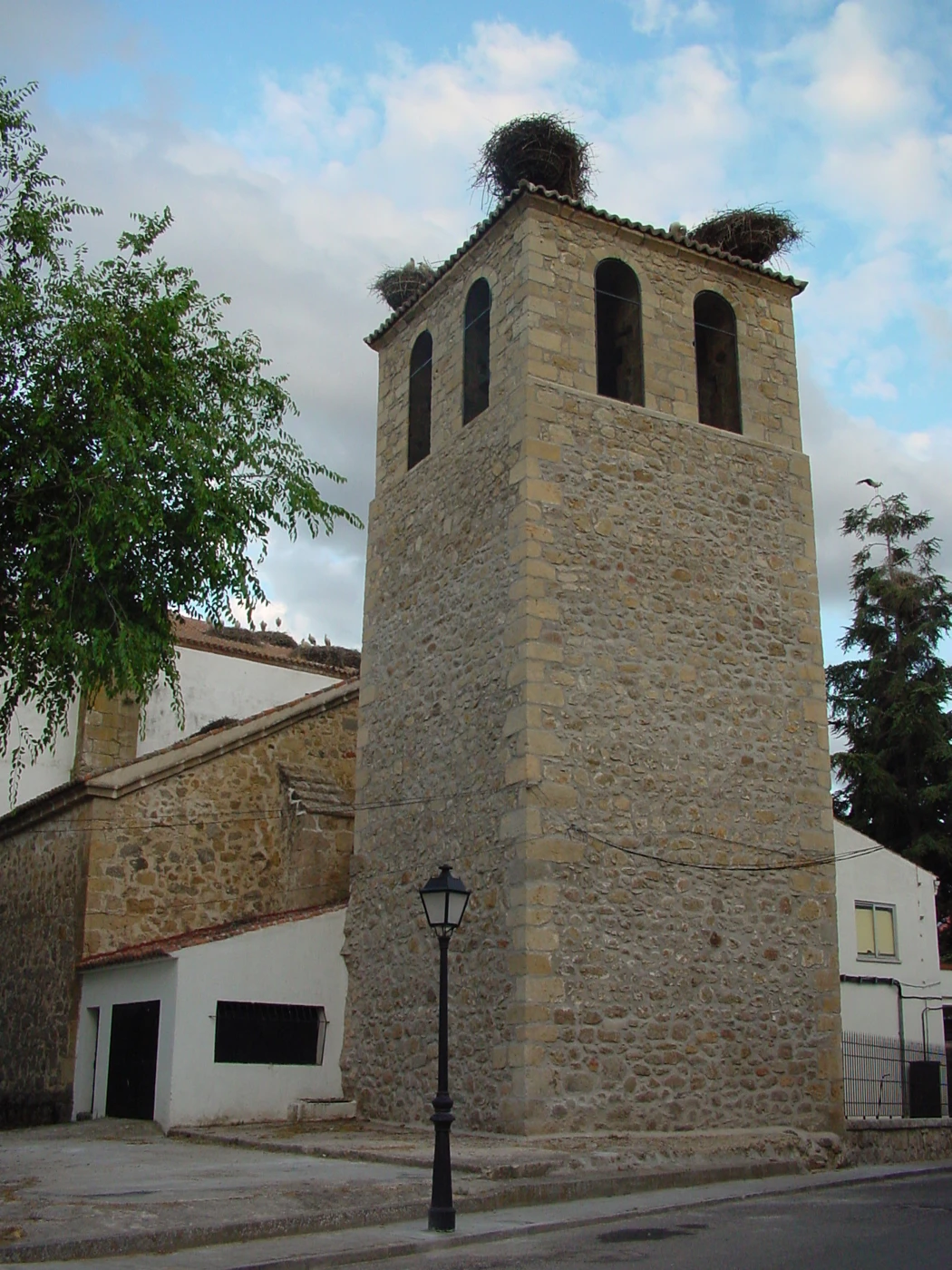Torre de la iglesia de la Inmaculada Concepción con nidos sobre el tejado