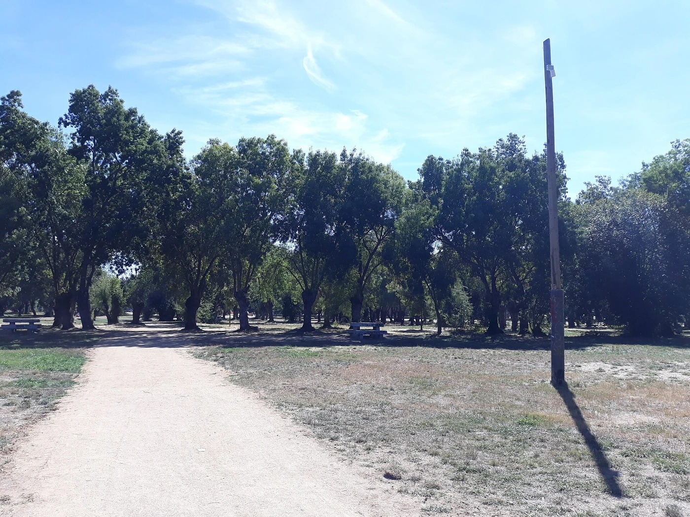 Camino interior, fresnos y mesas del Parque del Río