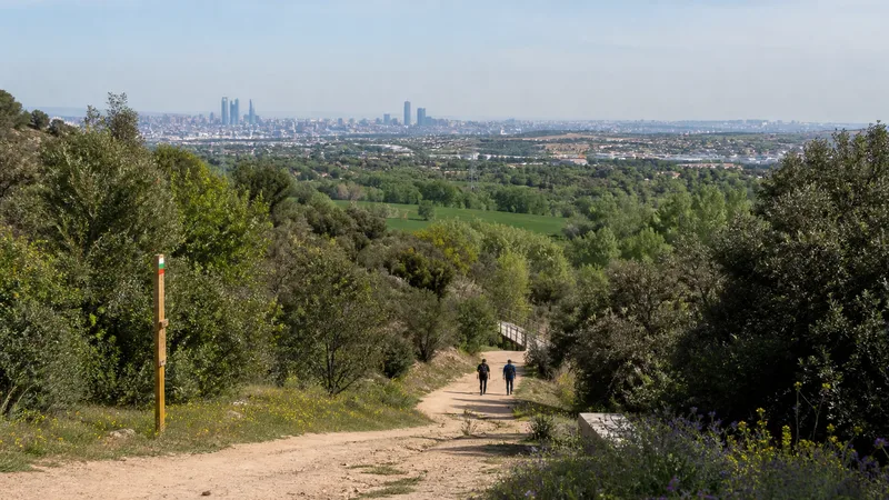 Camino periurbano entre vegetación con Madrid visible al fondo