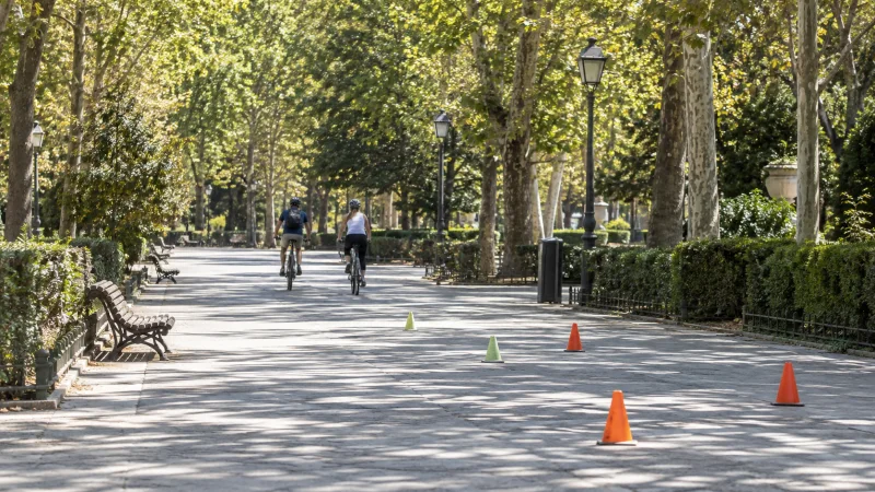 Paseo arbolado de un parque urbano con conos de seguridad vial y dos ciclistas al fondo